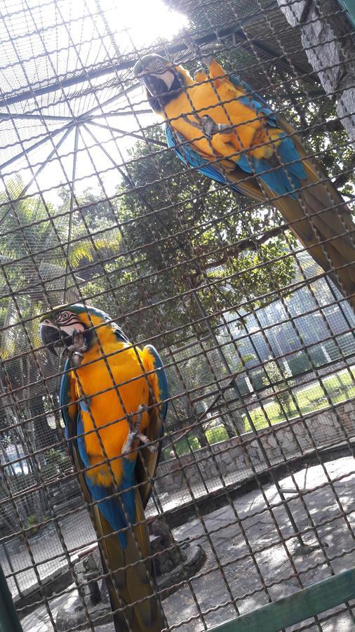 Guaratiba Parque 3* Rio de Janeiro